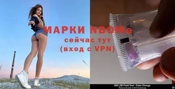 СК Балахна
