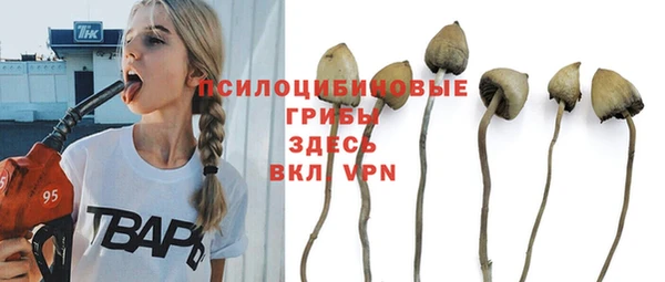 СК Балахна