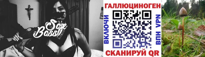 что такое   Покровск  Галлюциногенные грибы Magic Shrooms 